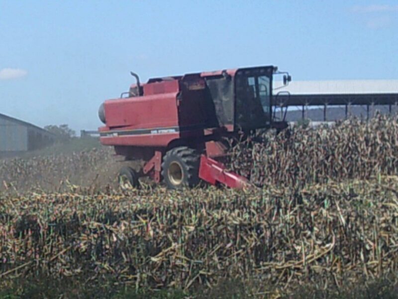 Case IH 1640 combine, Cummins